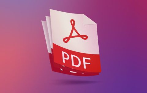 Getting Free Traffic From PDF'